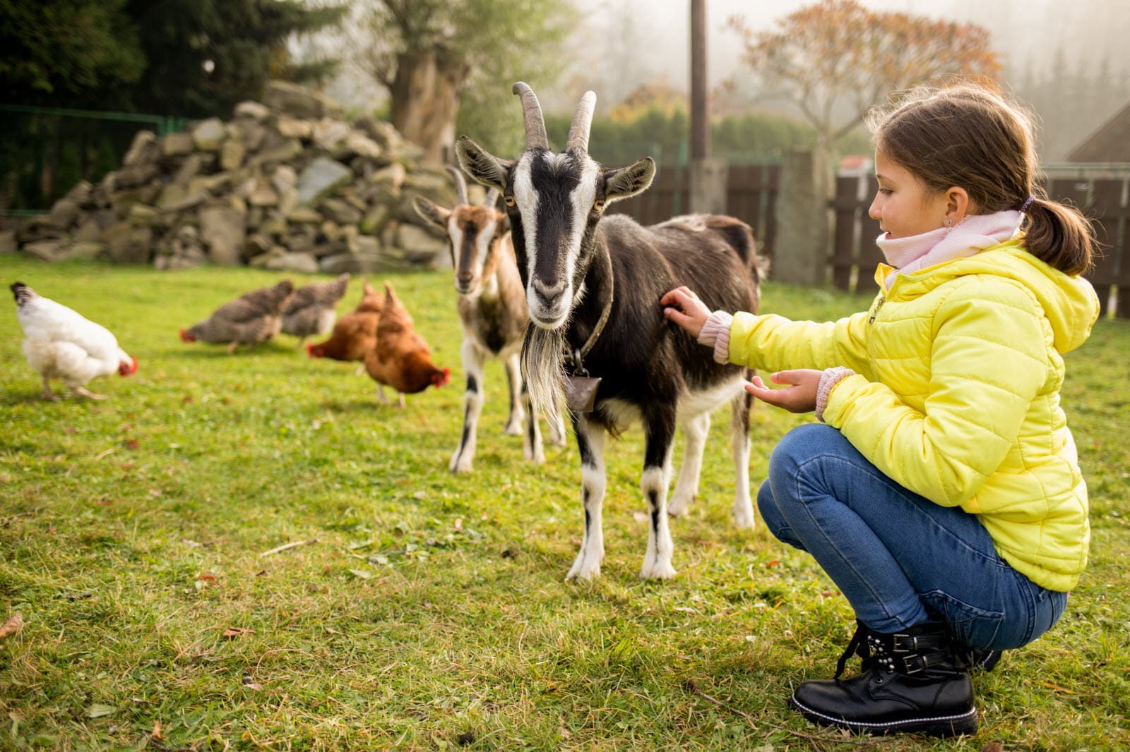 Agritourisme et Farm Stays : Pourquoi les séjours à la ferme explosent sur Vrbo et Airbnb